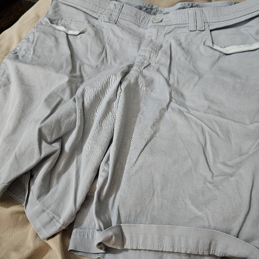 Lee Rider Gray Shorts - Picture 3 of 3